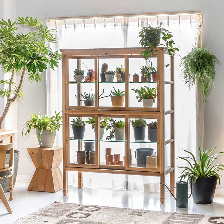 たっぷりの光を取り込め植物のディスプレイにオススメ